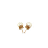 14k Yellow Gold Freshwater Cultured White Pearl Stud Earrings (6.0 mm) - Premium Earrings - Just $156.99! Shop now at Pulse Designer Fashion