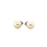 Freshwater Pearl Earrings in Sterling Silver - Premium Earrings - Just $83.99! Shop now at Pulse Designer Fashion